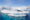 seal on ice flow in Antarctica