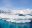 ANT_Seal_shutterstock_390386185 seal on ice flow in Antarctica