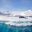 seal on ice flow in Antarctica
