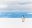 ANT_KingPenguinRossSea_shutterstock_1019183524 King Penguin Ross sea ice shelf