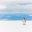 King Penguin Ross sea ice shelf