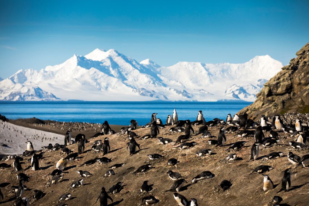Deception Island