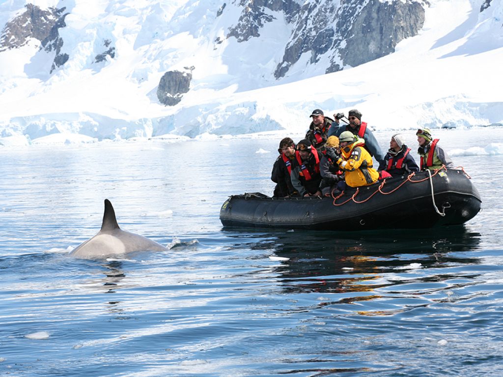 Group on a whale watching trip in Antarctica