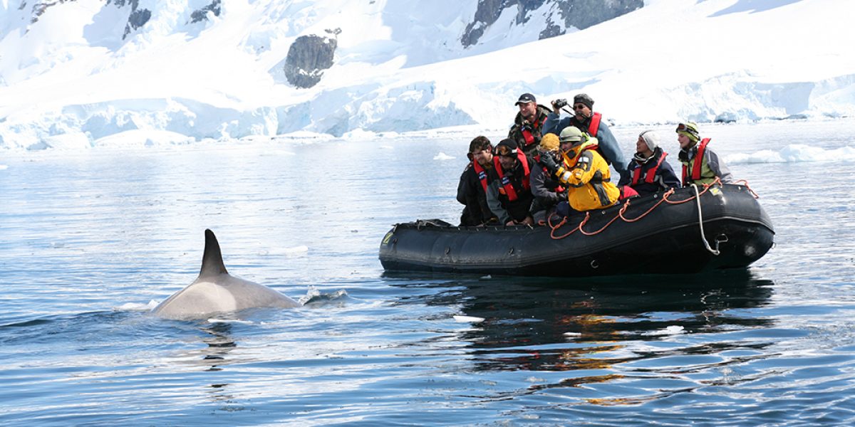 Group on a whale watching trip in Antarctica