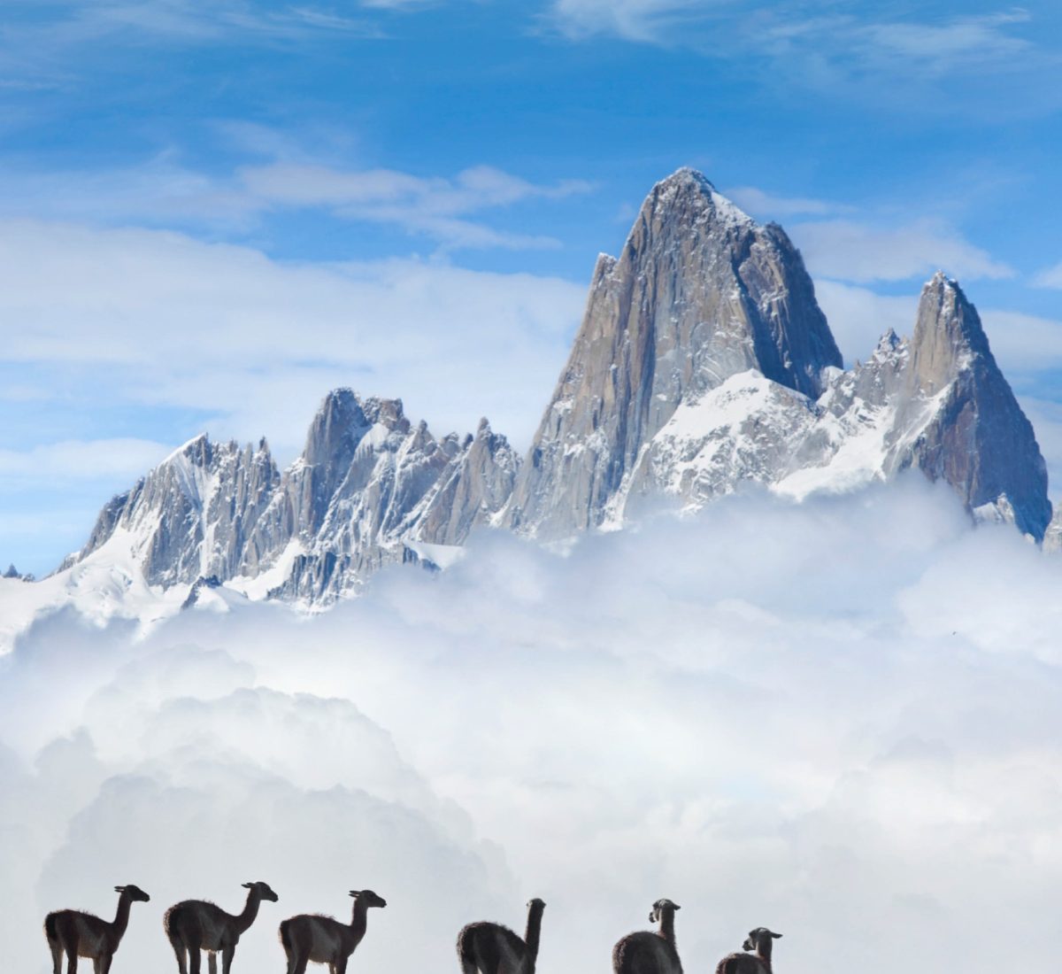 Mount Fitz Roy in Los Glaciares National Park, Patagonia