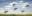 ARG_Ibera_shutterstock_293241917 ARG_Ibera_shutterstock_293241917