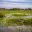 ARG_IberiaWetlands_Shutterstock_1042280275