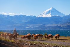 Lake District Argentina