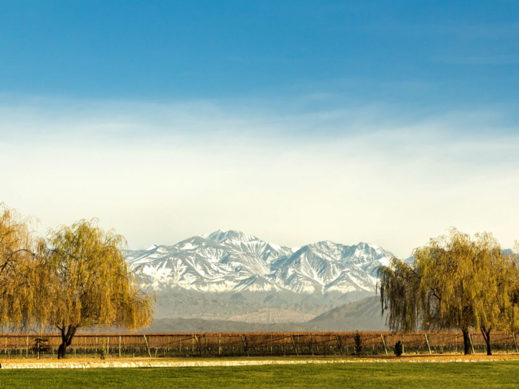 Mendoza