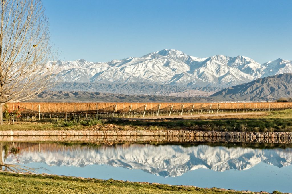 Mendoza