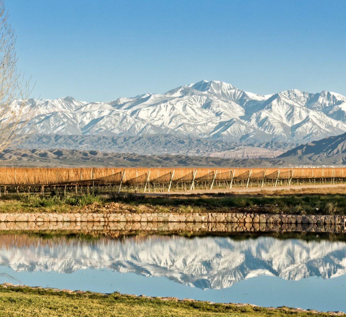 Mendoza