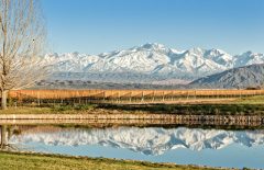 Mendoza