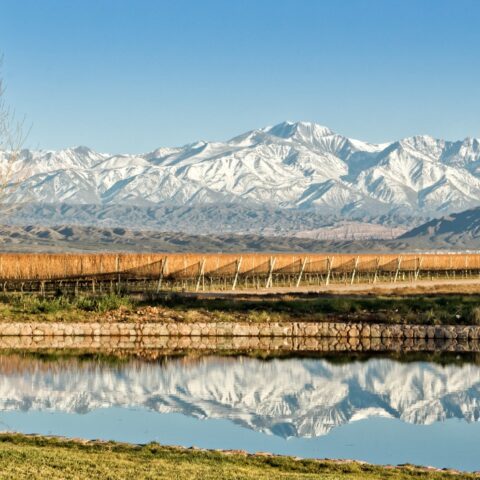 Mendoza