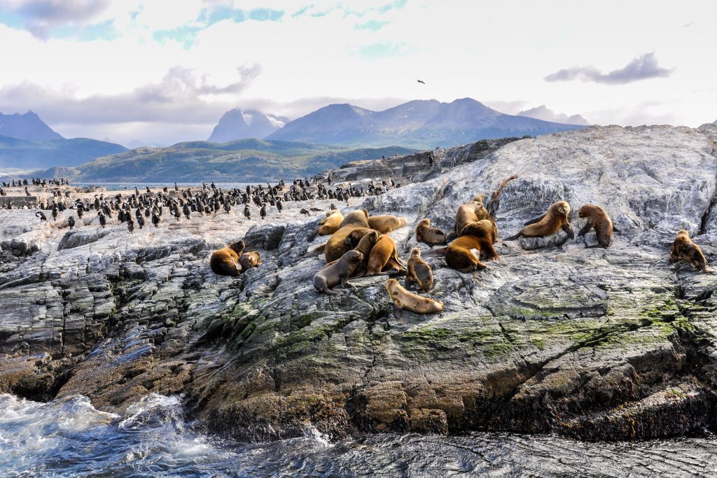 Tierra del Fuego