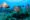 Belize Tourist Board ©