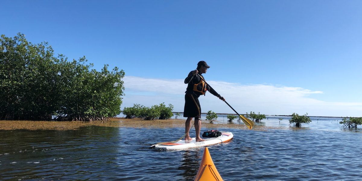 Stand Up Paddle
