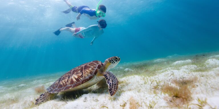 Belize