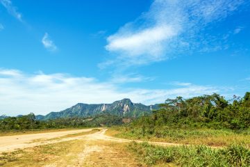 Bolivian Amazon