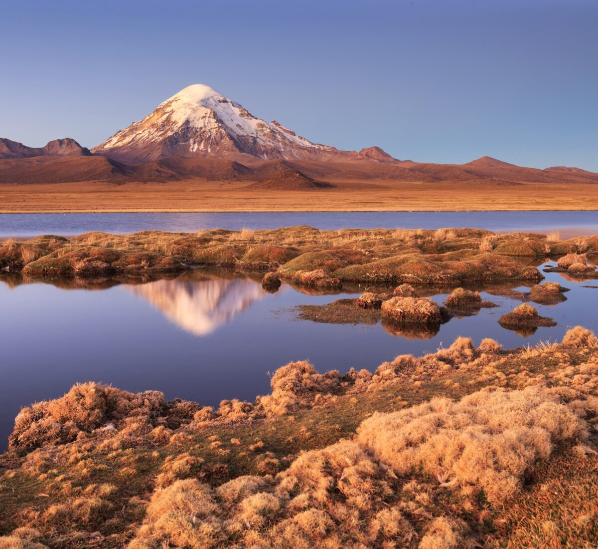 Sajama National Park