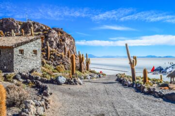 BOL_Uyuni_IslaDelPescado_iStock_645813896
