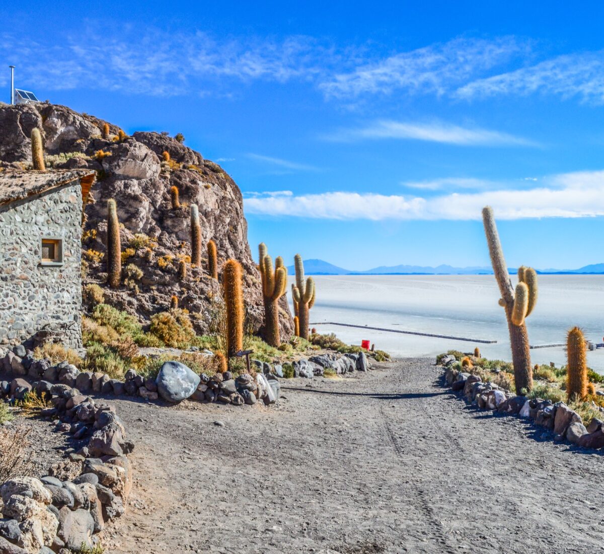 BOL_Uyuni_IslaDelPescado_iStock_645813896