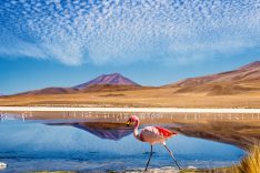 Uyuni