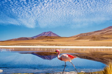 Uyuni