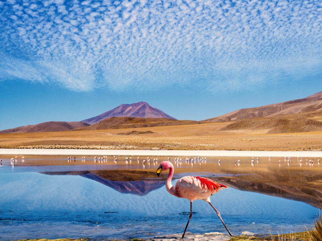 Uyuni