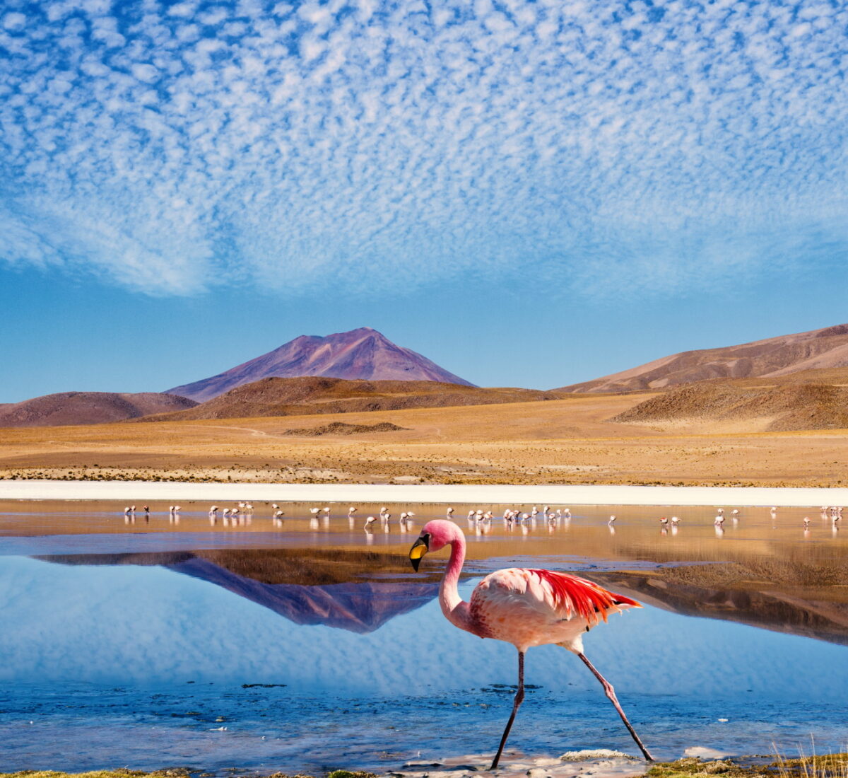 Uyuni