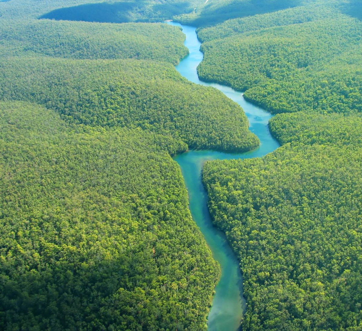 Amazon River winding through rainforest