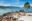 ShutterStock © Palm tree and rocks on the edge of a sandy beach