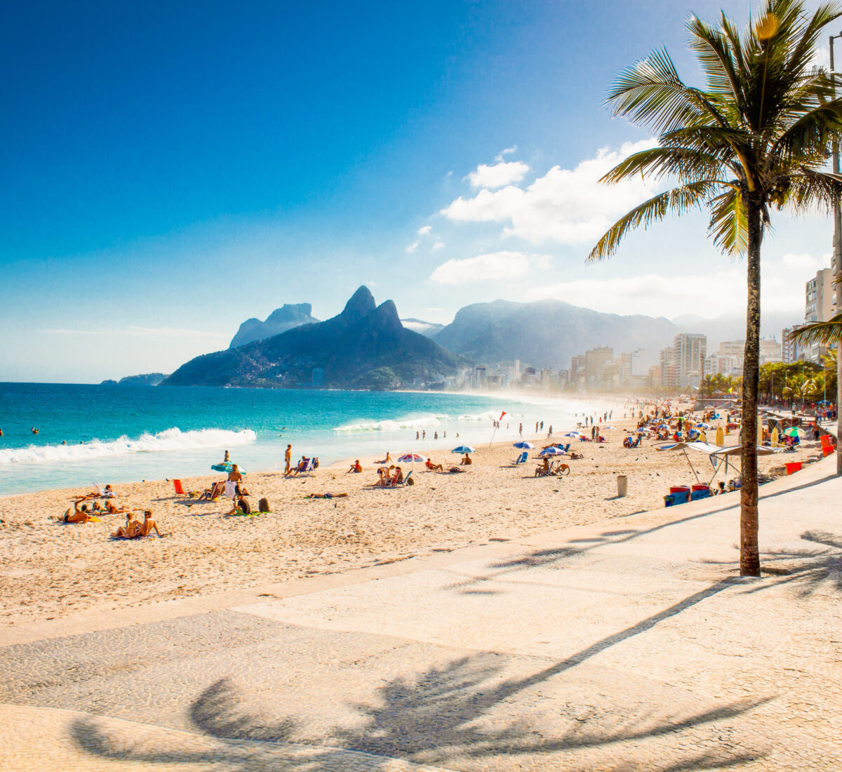 Sandy beach with palm trees in Brazil