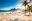 ShutterStock © Sandy beach with palm trees in Brazil