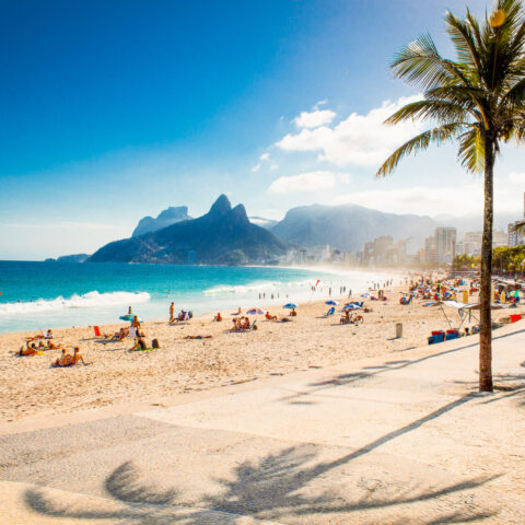 Sandy beach with palm trees in Brazil