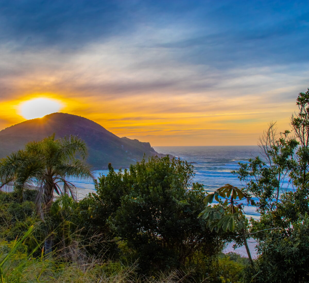 Praia do Rosa