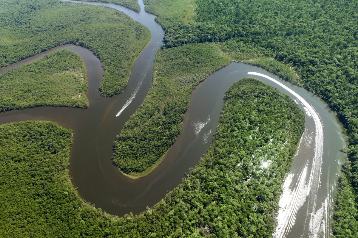 Brazilian Amazon - Places to visit - Brazil - Journey Latin America
