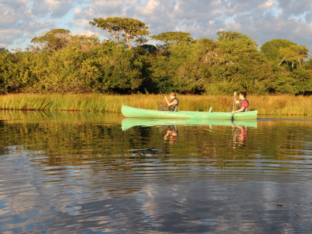 Pantanal