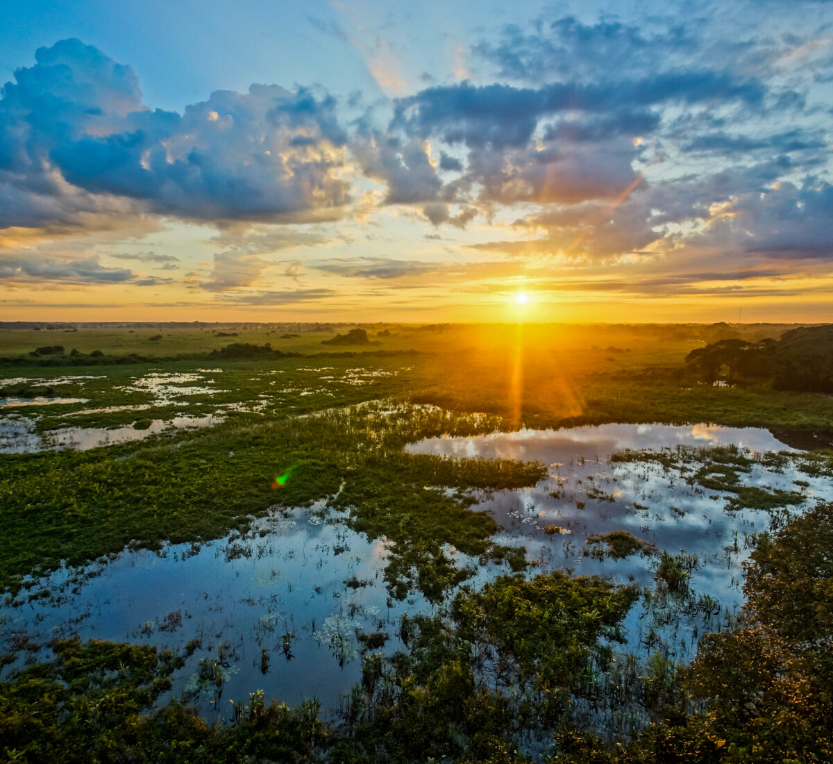 Pantanal