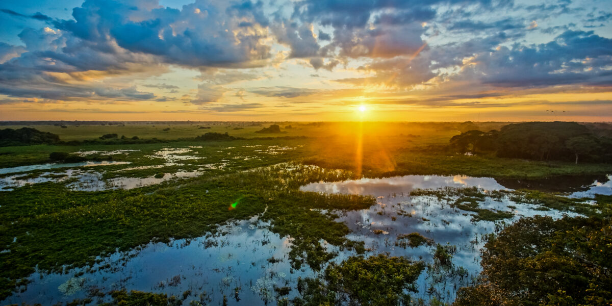 Pantanal