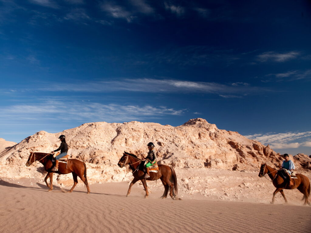 Horse Riding Atacama