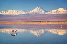 Atacama Desert