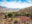 CHI_AtacamaDesert_ShutterStock (3) Wildflowers Atacama