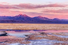 Atacama