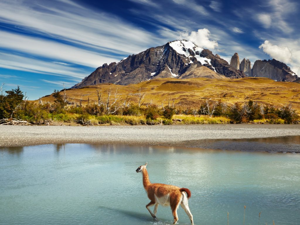 Torres Del Paine
