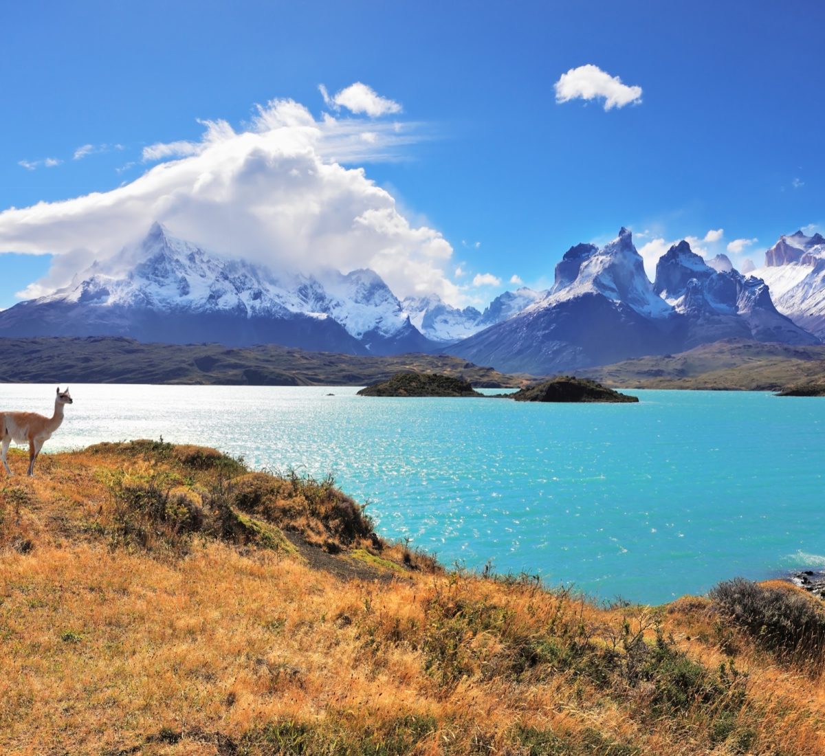 Torres del Paine