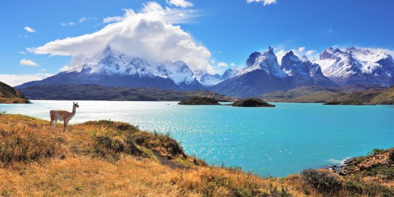 Torres del Paine