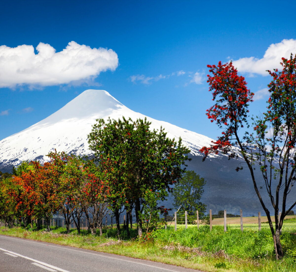 Lake District Osorn Volcano