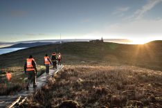 CHI_TierraDelFuego_CapeHorn_Australis_supplier(10)