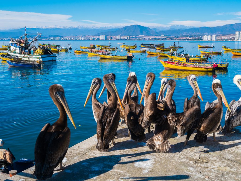 CHI_Coquimbo_shutterstock_343374050