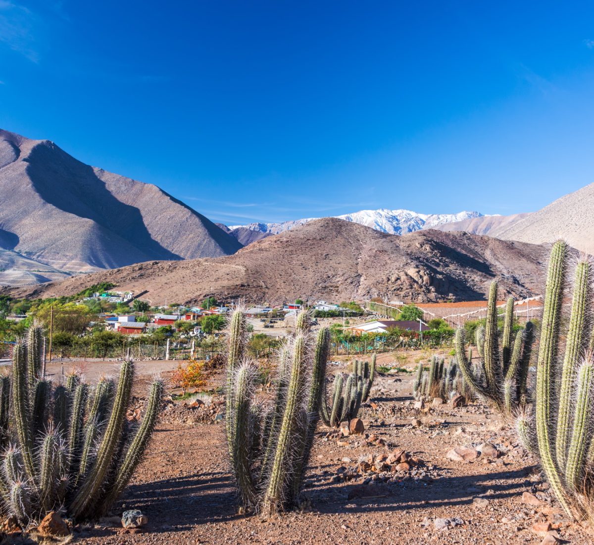 Elqui Valley
